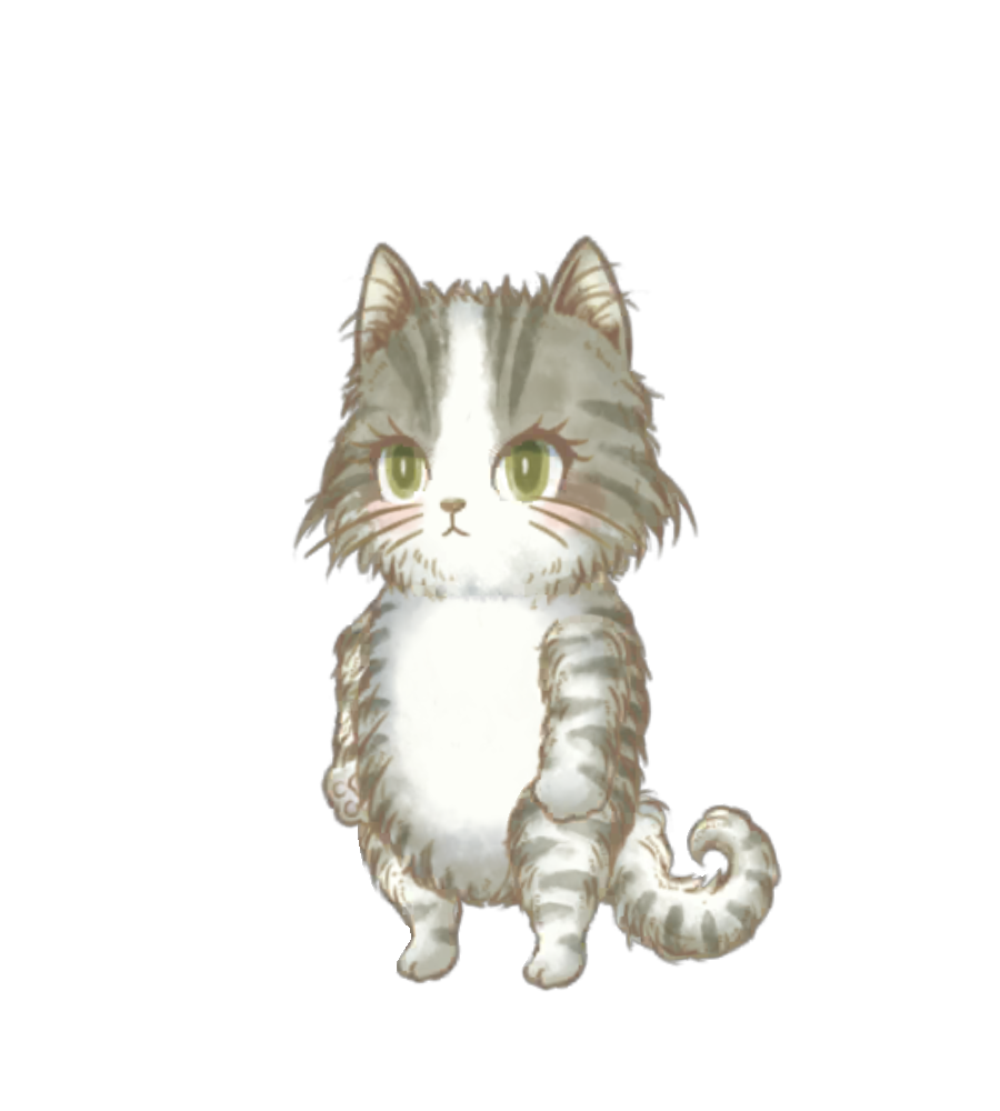 Maine Coon